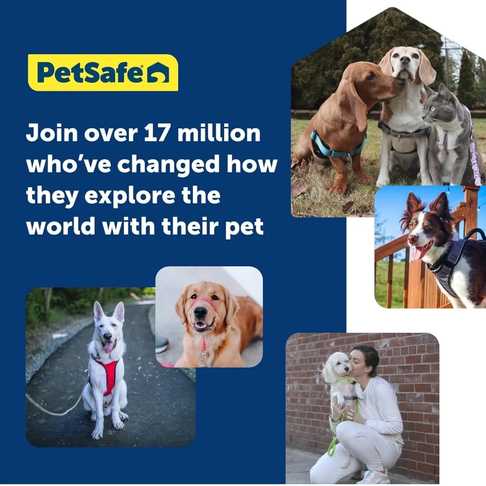 PetSafe easy walk